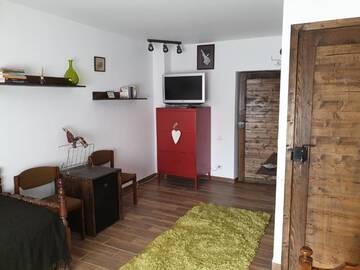Фото номера Двухместный номер с 2 отдельными кроватями Гостевой дом Casa Pisica Noastra г. Бряза 5