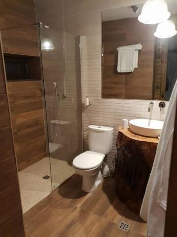 Фото номера Семейный номер Гостевой дом Casa Pisica Noastra г. Бряза 3