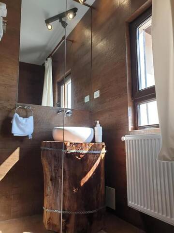 Фото номера Стандартный двухместный номер с 1 кроватью Гостевой дом Casa Pisica Noastra г. Бряза 6