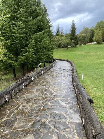 Фотографии Курортные отели Lac de Verde - Golf&Leisure Resort г. Бряза (Румыния) №2 Фото Курортные отели Lac de Verde - Golf&Leisure Resort г. Бряза 2