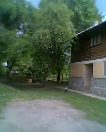 Фото номера Двухместный номер с 1 кроватью Гостевой дом Vila Elena si Ionut г. Бряза 47